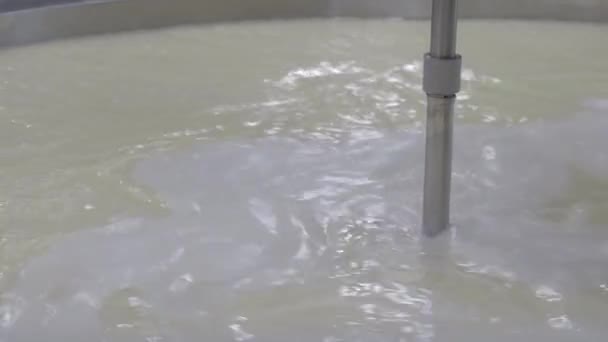 Käserei. Prozess der Fermentation von Milch und Molke Trennung im Tank. Flachprofil. — Stockvideo