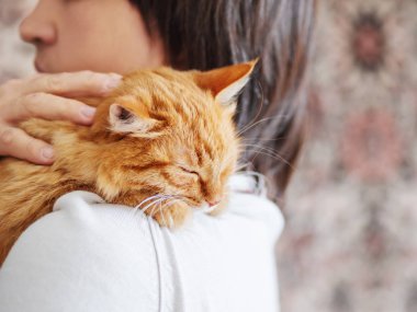 Sevimli zencefilli kedi sahibinin omzuna bakıyor. Kabarık evcil hayvan adamın elinde oturuyor ve kameraya bakıyor. Yüzünde komik ifade ile Evcil kedi kurnaz görünüyor.