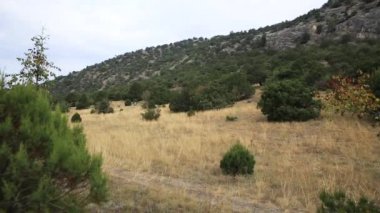Caraul-Oba dağıüzerinde yürüyüş parkuru. Kuru ot tarlasının içinden geç. Kırım, Novyi Svit.