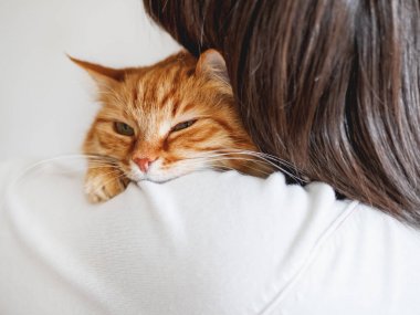 Sevimli zencefilli kedi sahibinin omzuna bakıyor. Kabarık evcil hayvan kadının elinde oturuyor ve kameraya bakıyor. Yüzünde komik ifade ile Evcil kedi kurnaz görünüyor.