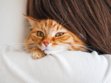 Sevimli zencefilli kedi sahibinin omzuna bakıyor. Kabarık evcil hayvan kadının elinde oturuyor ve kameraya bakıyor. Yüzünde komik ifade ile Evcil kedi kurnaz görünüyor.