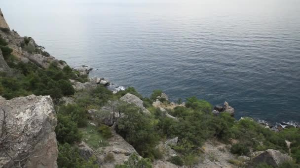 Seascape from Caraul-Oba mountain. Juniper bushes on rock. Sudak, Crimea. — Stock Video