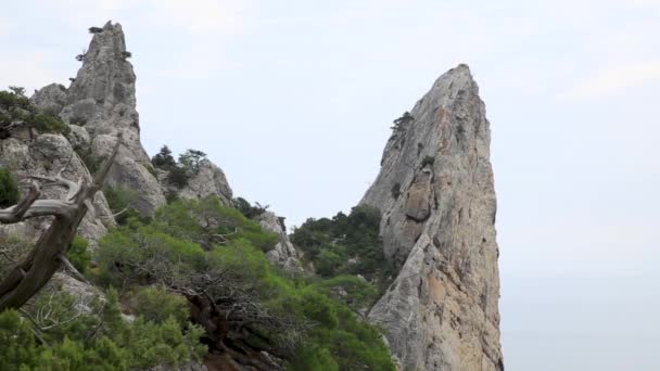 Paisaje marino de la montaña Caraul-Oba. Arbustos de enebro sobre roca. Sudak, la Crimea . — Vídeo de stock