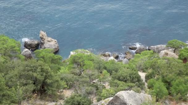 Meereslandschaft vom Berg Caraul-oba. Wacholderbüsche auf Felsen. sudak, Krim. — Stockvideo