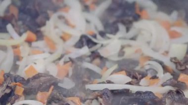 Turist kızarmış mantar ve soğan yangın üzerinde bir Pan. Ormanda kamp ateşi.