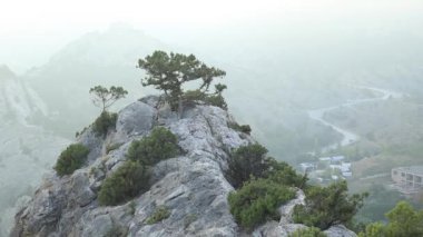 Sudak kasabasının üzerine kaya üzerinde Pinetree. Antik Sudak kalesinden günbatımı manzarası. Kırım.