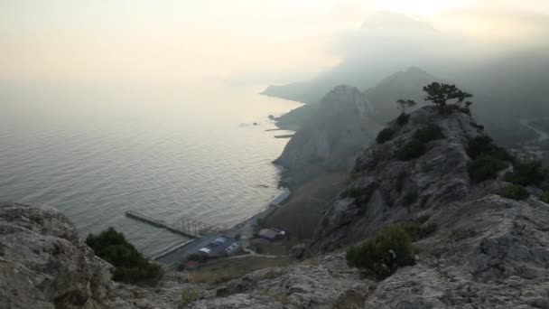 Pinetree on rock upon sudak town. Vista del atardecer desde la antigua fortaleza Sudak. Crimea . — Vídeo de stock