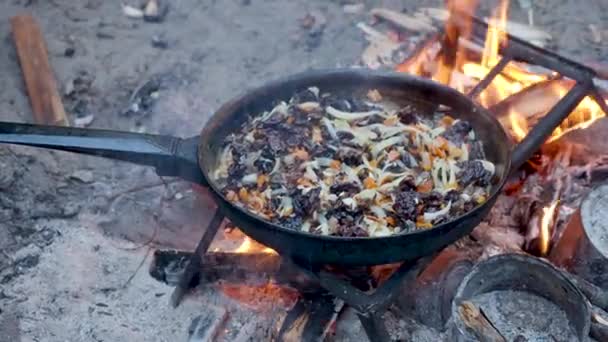 Tourist fried mushrooms and onions in a pan over the fire. Campfire in the woods. — Stock Video