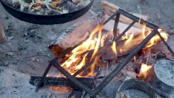 Turist kızarmış mantar ve soğan yangın üzerinde bir Pan. Ormanda kamp ateşi. — Stok video