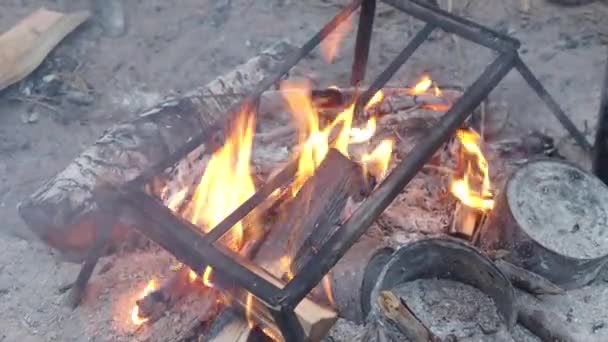 Lagerfeuer. Brennende Flammen im Wald. — Stockvideo