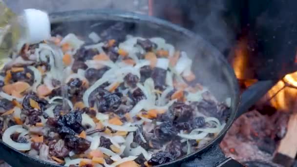 관광객 튀김 버섯과 양파를 냄비에 불 위에. 숲속의 캠프파이어. — 비디오