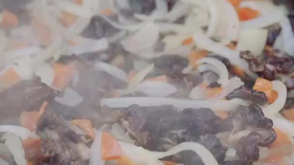 Tourist fried mushrooms and onions in a pan over the fire. Campfire in the woods. — Stock Video