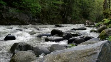 Borjomi şehirde, Georgia ülke hızlı dağ nehir akar.
