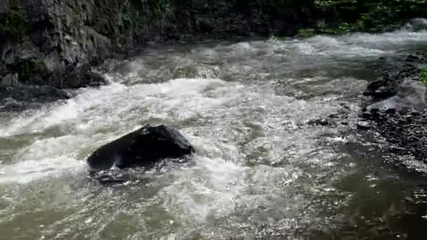 Rapido fiume di montagna scorre intorno alla città di Borjomi, Georgia paese . — Video Stock