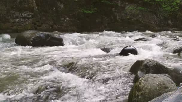 Schnelle Gebirgsfluss fließt um borjomi Stadt, Georgien Land. — Stockvideo