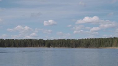 Seliger gölü kıyısındaki orman, Tver bölgesinde Yaz, Rusya.