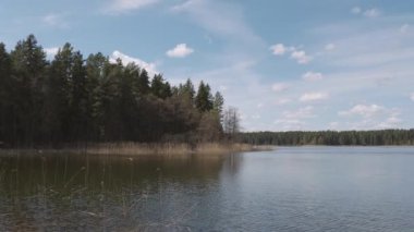 Seliger gölü kıyısındaki orman, Tver bölgesinde Yaz, Rusya.