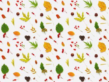 Beyaz zemin üzerinde düşmüş yaprakları ve çilek yapılmış Dikişsiz desen. Sonbahar bitkileri arka plan.