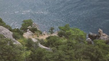 Caraul-Oba Dağı'ndan deniz manzarası. Ardıç kayanın üzerinde çalılar. Sudak, Kırım.