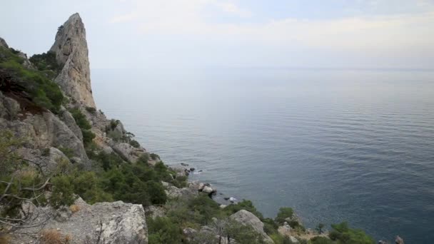Zeegezicht van Caraul-Oba Mountain. Jenever struiken op rots. Sudak, Krim. — Stockvideo