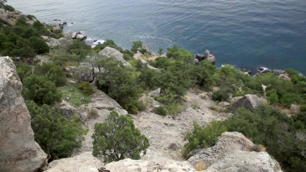 Air laut dari gunung Caraul-Oba. Juniper semak-semak di batu. Sudak, Krimea . — Stok Video