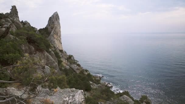 カラウル・オバ山からの海景。ジュニパーは岩の上に茂み。スダック(クリミア). — ストック動画