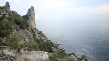 Caraul-Oba Dağı'ndan deniz manzarası. Ardıç kayanın üzerinde çalılar. Sudak, Kırım.