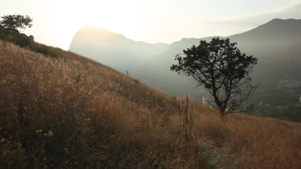 Ködös naplemente Sudak erődben. Természetes őszi háttér szárított fű, hegyek és a napfény. Krím. — Stock videók