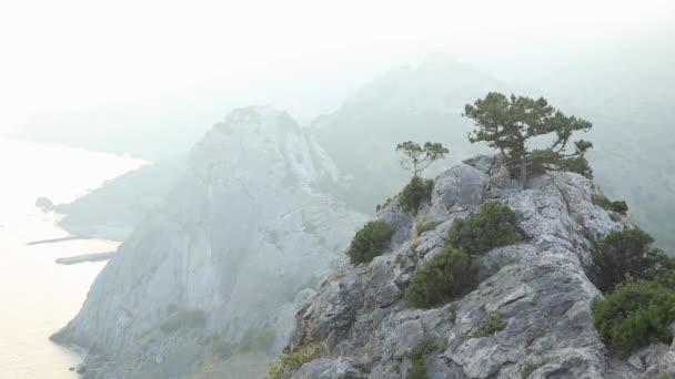 Sudak kasabasının üzerine kaya üzerinde Pinetree. Antik Sudak kalesinden günbatımı manzarası. Kırım. — Stok video
