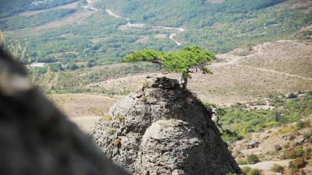 Διάσημη κοιλάδα φάντασμα με πέτρες σε σχήμα στραγγαλίζονται. Τα βουνά ντεδεντάτζι. Κριμαία — Αρχείο Βίντεο