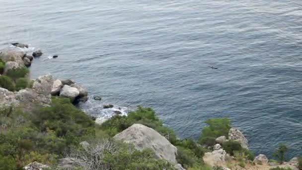 Paisaje marino de la montaña Caraul-Oba. Arbustos de enebro sobre roca. Sudak, la Crimea . — Vídeos de Stock