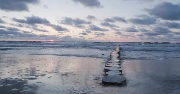 Vörös rönkök törmeléke. Megerősíti a tengerpartot, hogy a homok a parton maradjon. Gyönyörű naplemente Zelenogradsk, Oroszország. — Stock videók