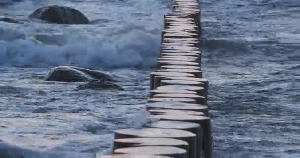 Wellenbrecher aus Lärchenstämmen. Stärkung der Küste, um den Sand am Strand zu halten. wunderschöner Sonnenuntergang in zelenogradsk, russland. — Stockvideo