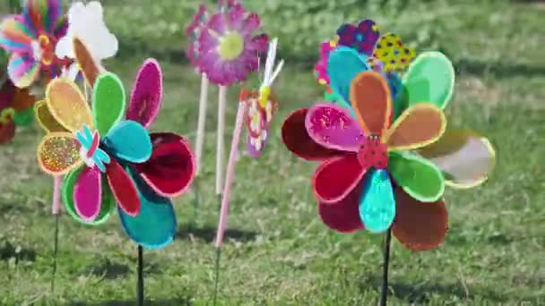 Moinhos de vento de brinquedo coloridos brilhantes estão girando no vento . — Vídeo de Stock