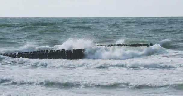 Breakwater van lariks logboeken. Versterking van de kust om het zand op het strand te houden. Zelenogradsk, Rusland. — Stockvideo