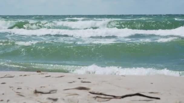 Meeresbrandung an der Kurischen Nehrung. große Wellen am Sandstrand. Oblast Kaliningrad, Russland. — Stockvideo