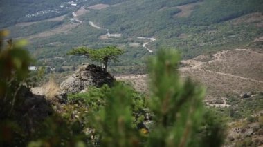 Garip şekilli kayalar ile ünlü Ghost Valley Panorama görünümü. Demerdji dağları. Kırım