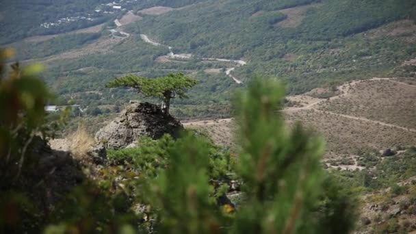 Vista panorámica desde el famoso Valle Fantasma con rocas de forma extraña. Montañas Demerdji. Crimea — Vídeos de Stock