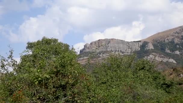 Famous Ghost Valley with strangly shaped rocks. Demerdji mountains. Crimea — Stock Video