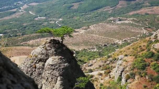 Διάσημη κοιλάδα φάντασμα με πέτρες σε σχήμα στραγγαλίζονται. Τα βουνά ντεδεντάτζι. Κριμαία — Αρχείο Βίντεο