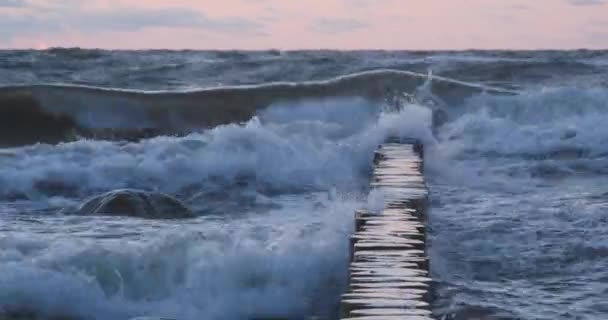 Breakwater di tronchi di larice. Rafforzare la spiaggia per mantenere la sabbia sulla spiaggia. Splendido tramonto a Zelenogradsk, Russia . — Video Stock
