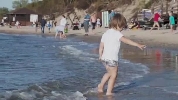 Toddler boy in swimwear is playing with sand on sea side. — Stock Video