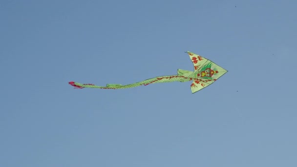 Bright kite with a painted dragon flies in clear blue sky. — Stock Video