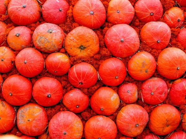 Calabazas de color naranja brillante en paja. Vista superior de la cosecha de otoño . —  Fotos de Stock