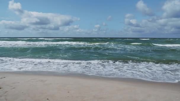 Tengeri szörfözés a Curonian Spit-en. Nagy hullámok a homokos parton. Kalinyingrádi terület, Oroszország. — Stock videók