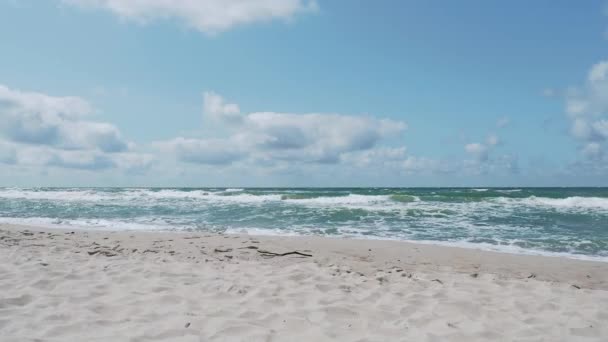 Havssurfing på Kuriska näset. Stora vågor på sandstrand. Kaliningrad Oblast, Ryssland. — Stockvideo