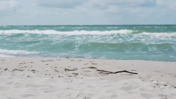 Havssurfing på Kuriska näset. Stora vågor på sandstrand. Kaliningrad Oblast, Ryssland. — Stockvideo