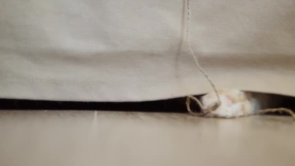 天然ロープでかわいい生姜猫が遊ぶ。ふわふわのペットはソファの下に横たわっていて、足で糸をキャッチします。遊び心のある動物. — ストック動画