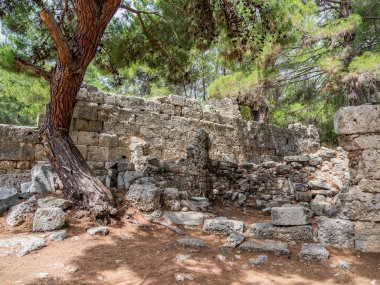 Antik Phaselis şehrinin kalıntıları. Ünlü mimari simgesi, Kemer bölgesi, Antalya. Türkiye.