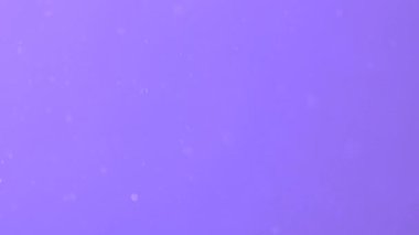 Havada uçuşan toz menekşe arkaplanına karşı. Kirli hava. Rastgele uçuşan gerçek toz.